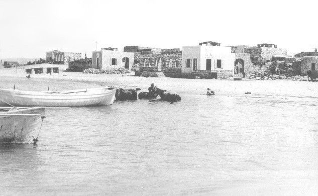 על הרשויות להימנע מיישום תכנית אשר תחלל את הקברים בטנטורה